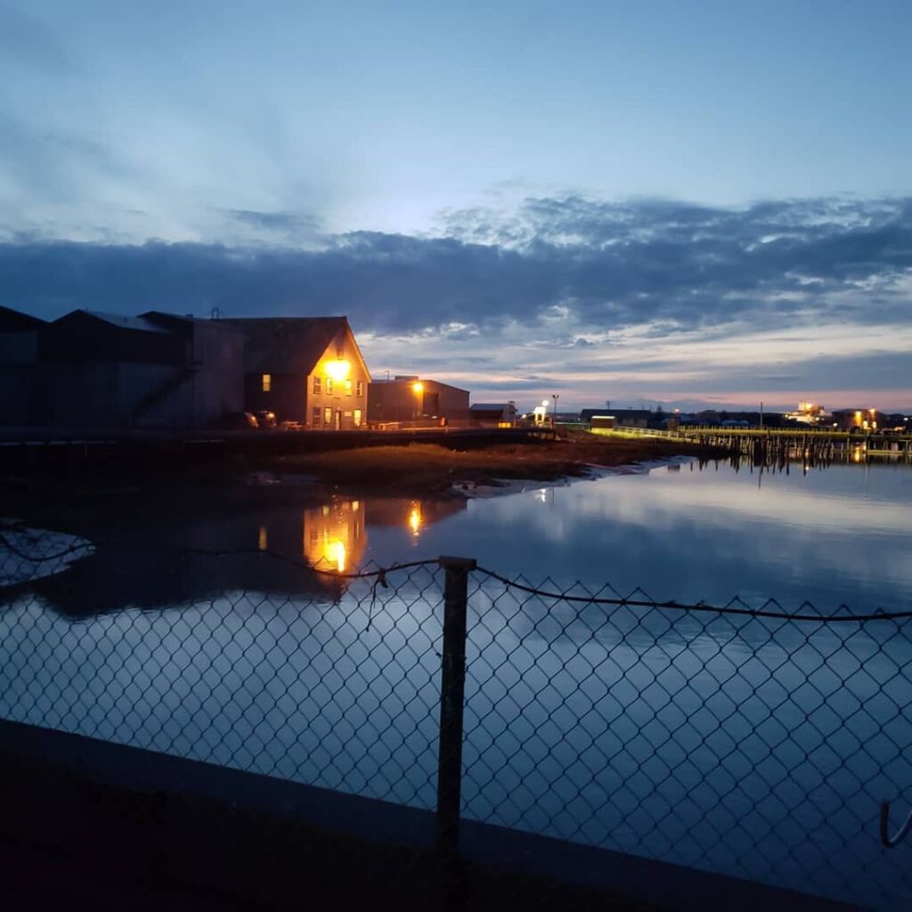 Kenai fishery